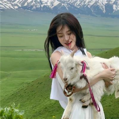 太空狗与涡轮猫